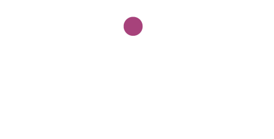 Logo Partner